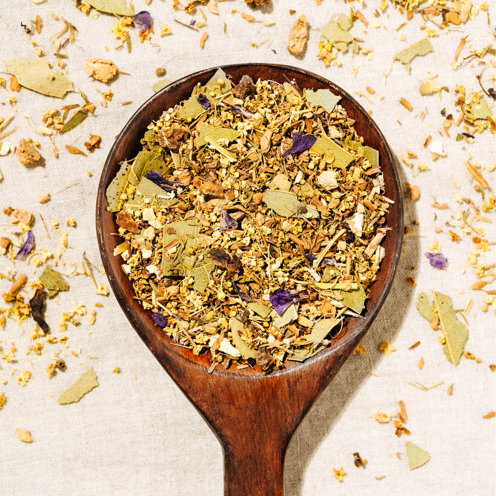 Infusion Grog Grand Froid bio