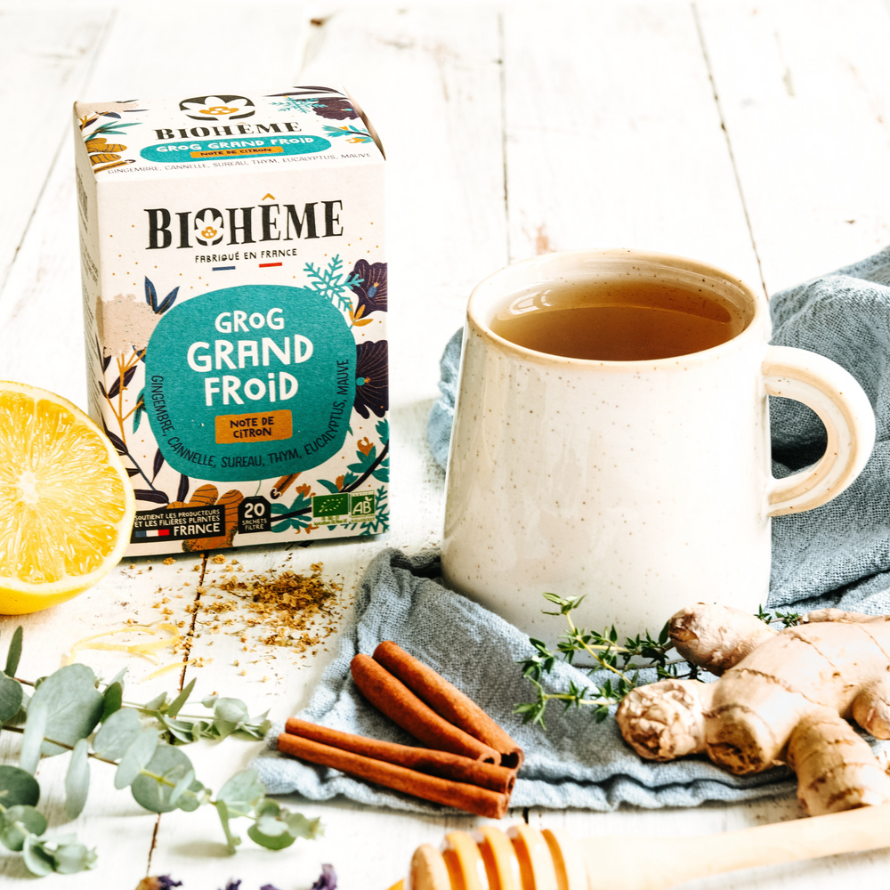 Infusion Grog Grand Froid bio