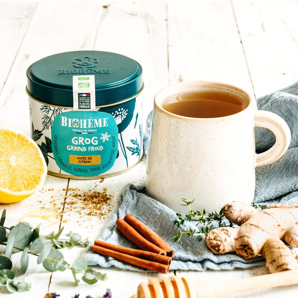 Infusion Grog Grand Froid bio