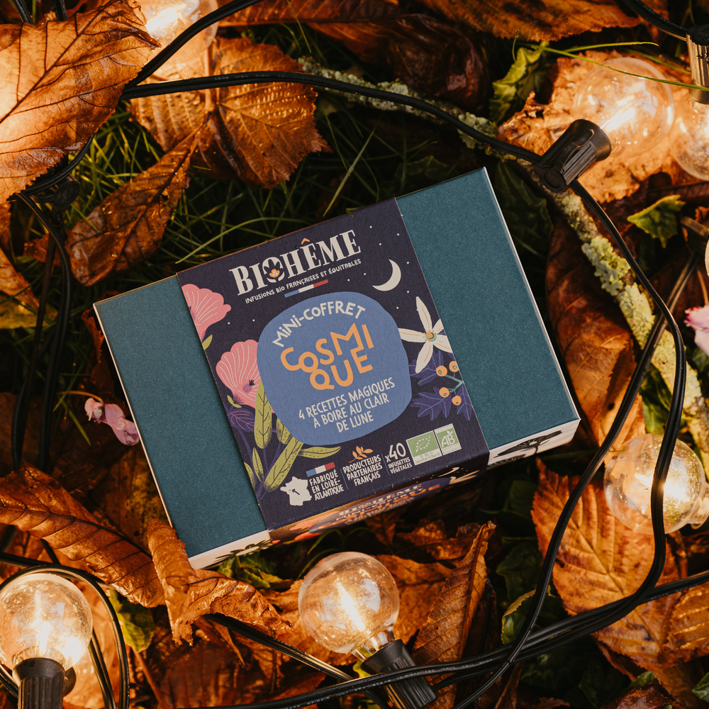 Mini coffret Cosmique bio