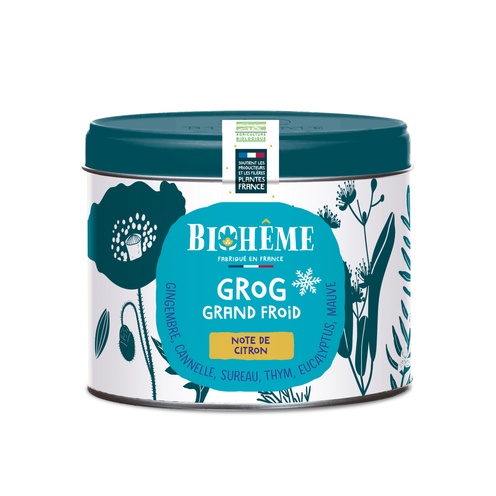 Infusion Grog Grand Froid bio