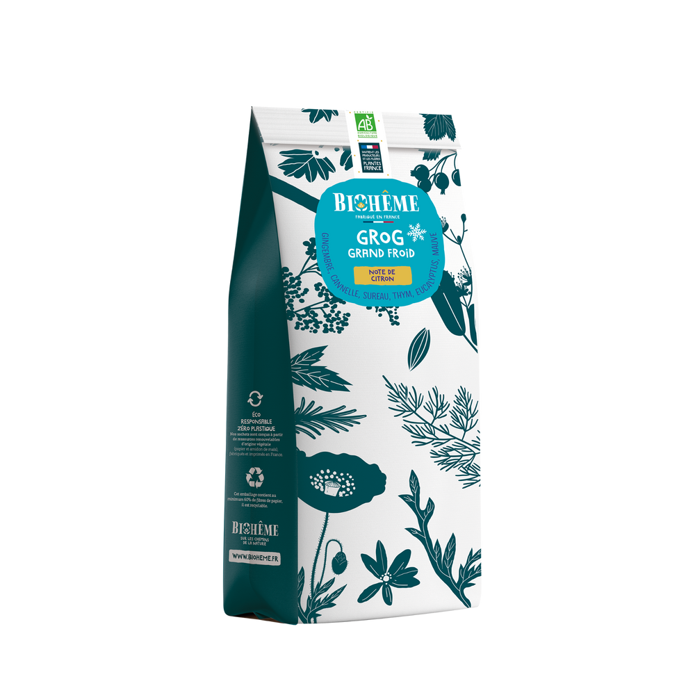 Infusion Grog Grand Froid bio