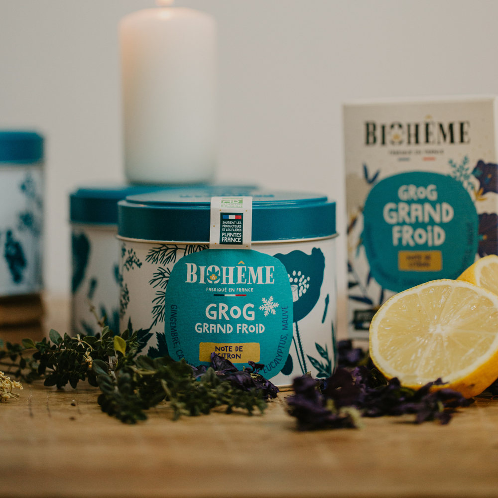 Infusion Grog Grand Froid bio