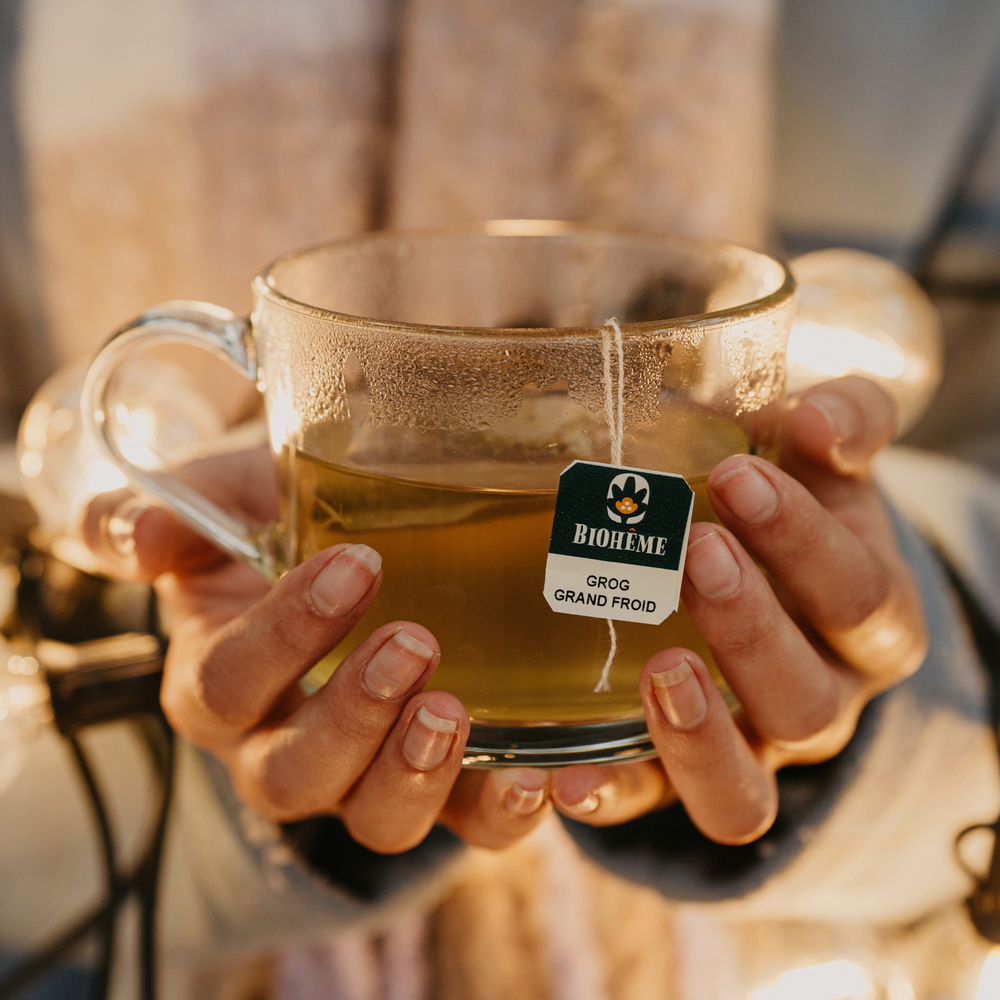 Infusion Grog Grand Froid bio